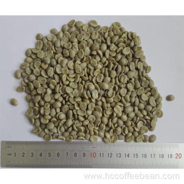 grade AA 17 up arabica green coffee beans